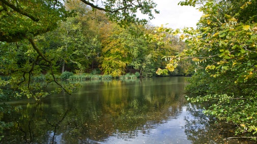 The Lake in Autumn at Nymans